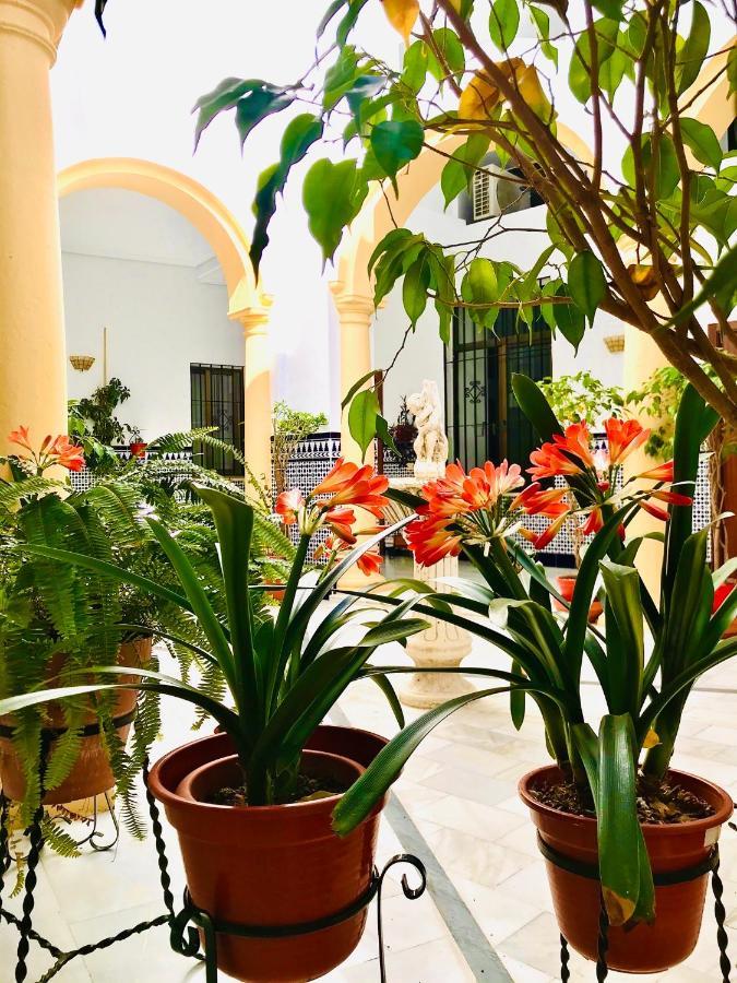 Fabuloso Loft En Centro Historico De Cordoba Con Parking Bajo Reserva Tendillas Mezquita-Catedral Exterior photo